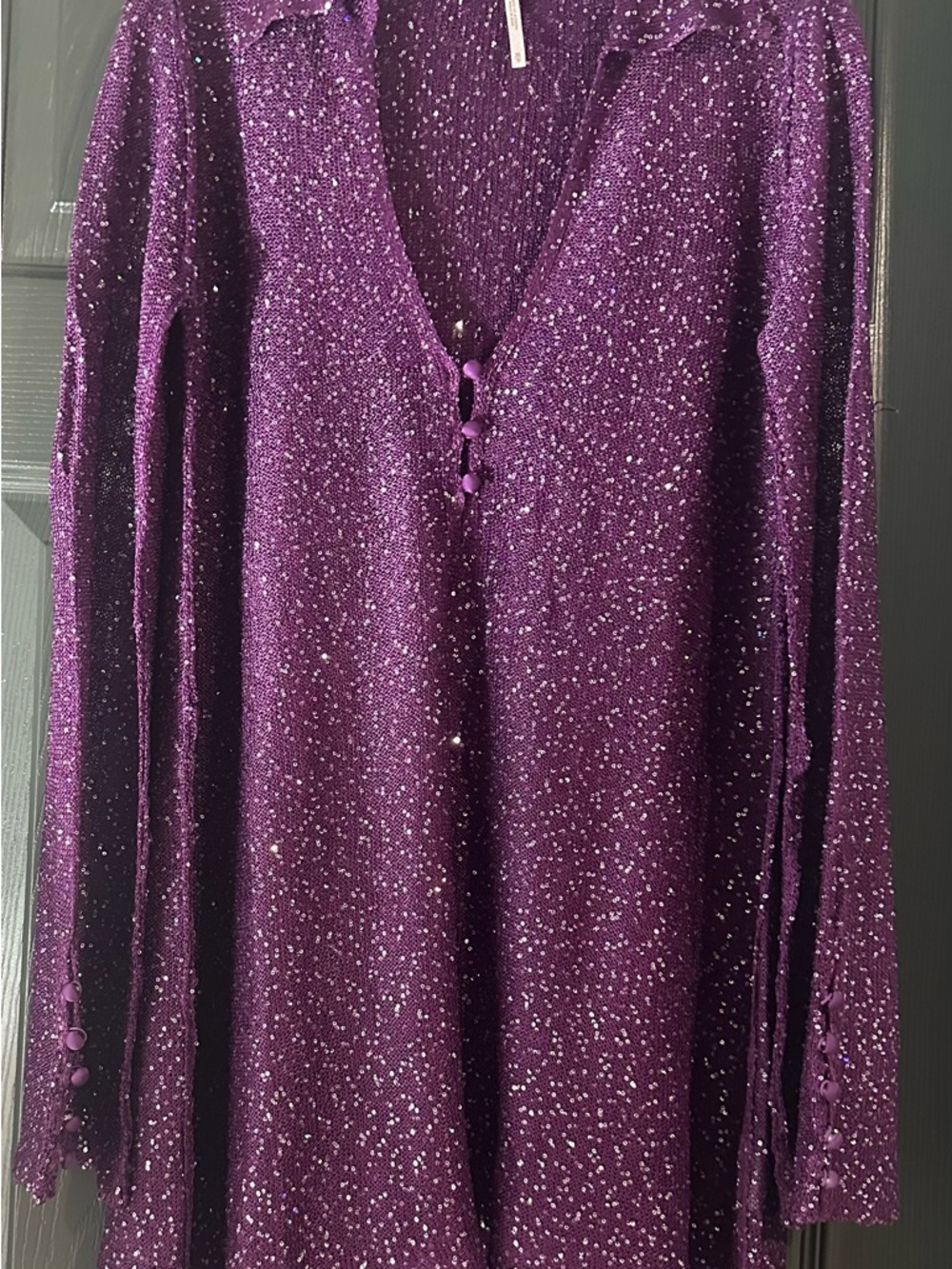 Free People Purple Glitter Long Sleeve Tunic